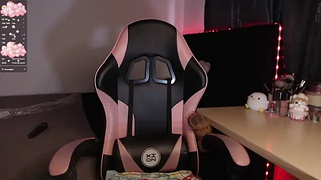 Theprojectsaraa webcam