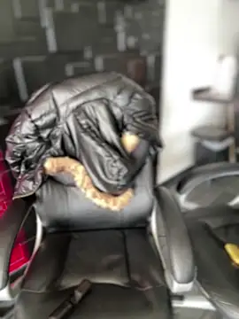 emily-teen - Emily-teen's free webcam - UK Sex Cams