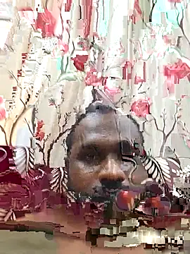 Tirunelvelipaiyan webcam