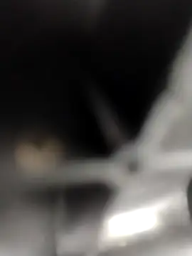 AceticPinscher webcam