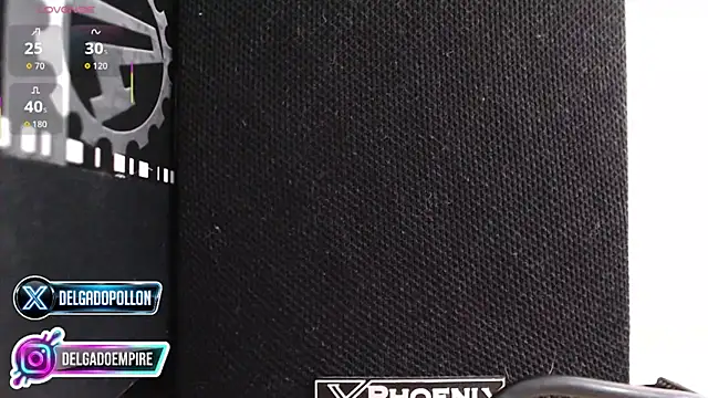 delgadopollon1991 webcam