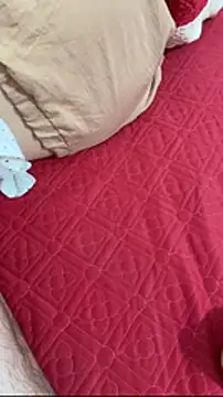 vietAnhzip Live Webcam on Stripchat