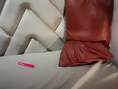 universal_cutie webcam