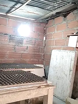 hoteder live sex cam