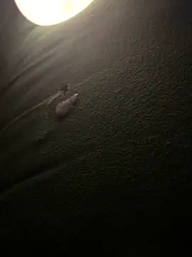 horniestboy2004 (M twink) - cum