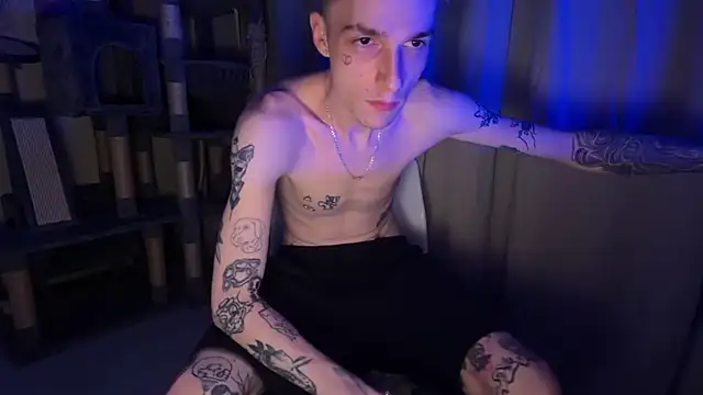 davesinner webcam