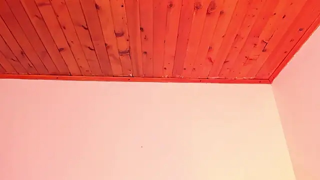 Alisson_zambrano webcam