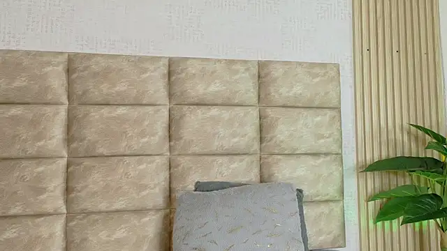 CameronCollins_ webcam