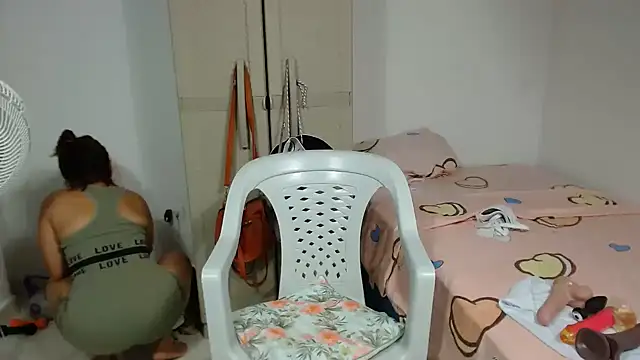 Agatha_browser webcam