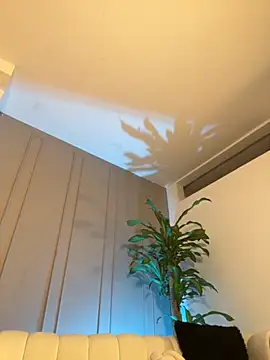 Frank_Farrell Live Webcam on Stripchat