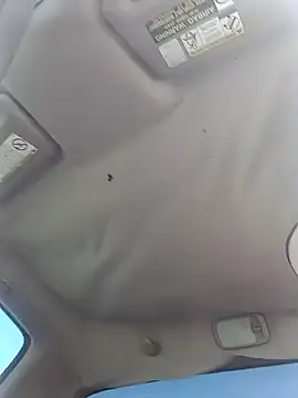 kevinsito1's live cam