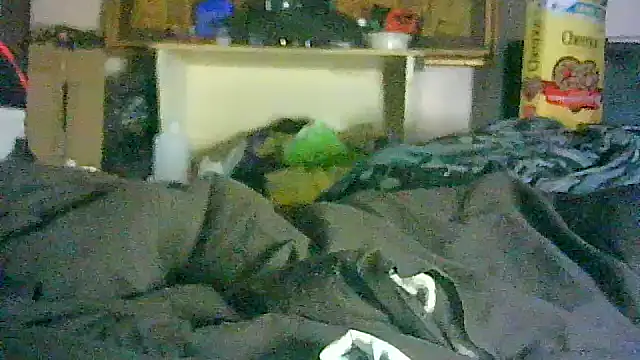 GUAPAN3S3_FIR3 webcam