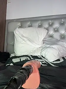 tokio_and_rio webcam