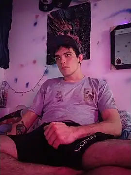 ThePrinz_maykiin webcam