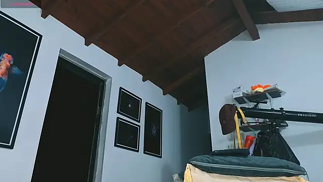 SilvaBranko's live cam