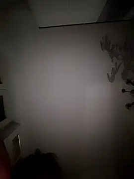 FINCHELABARCAVA webcam