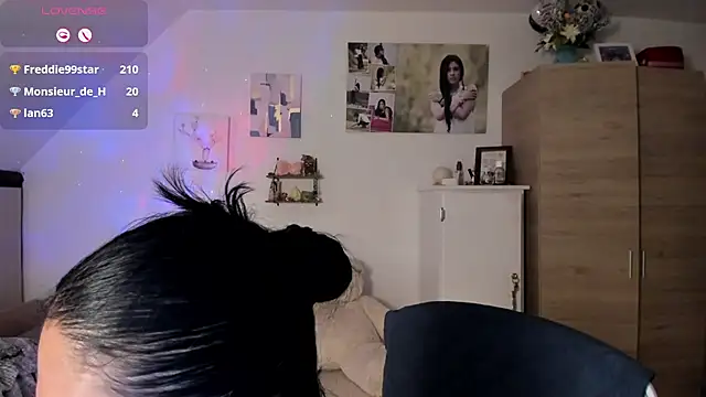 Veronikolsen- webcam