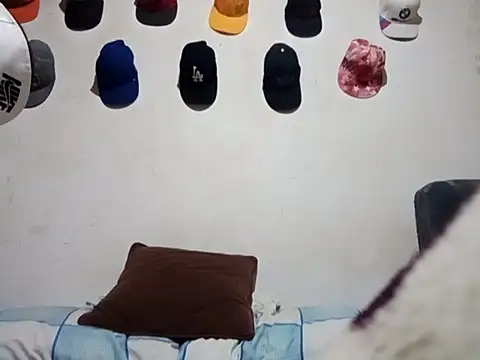 sebastiansebolla webcam