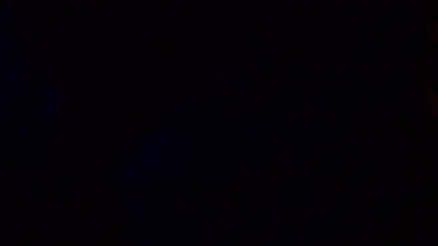 barebearstudio webcam