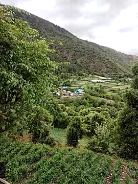 Preview of cute_lucky