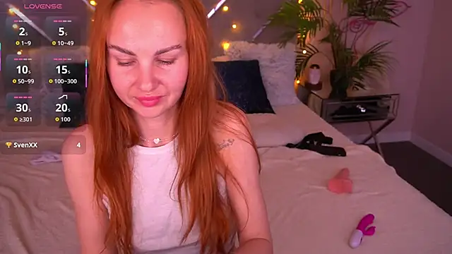 GingerGaze webcam