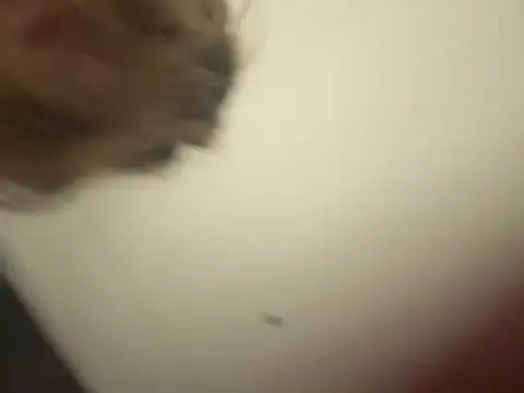 Nura_n_Sarah live sex cam