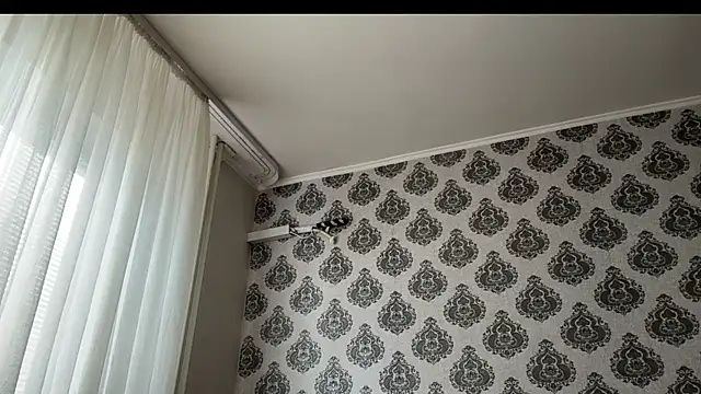 tomasdickpick webcam