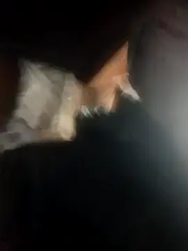 _uncle_Mitya-43_ webcam