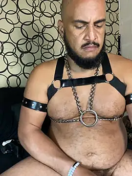 the_master_foal_ webcam