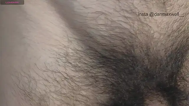 Danmaxwell_'s live cam