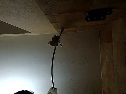 Shemalefucker79 webcam