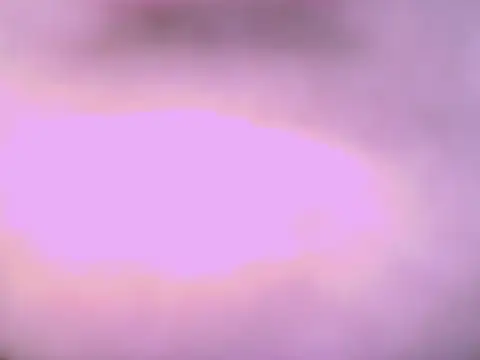 IndianSexyLady20 webcam