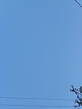 Preview of uncuthammer69