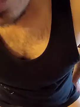 Preview of joshingexegesis