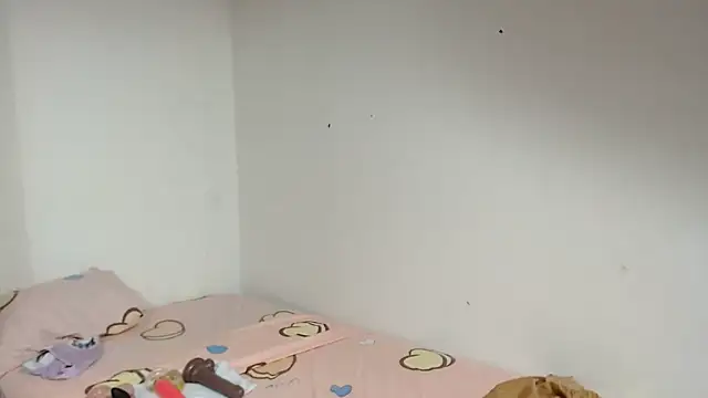 Agatha_browser webcam