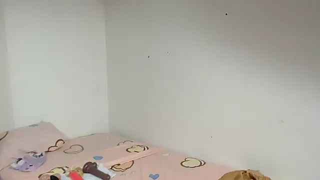 Agatha_browser webcam