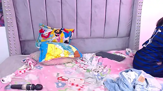 parys_merida02 webcam