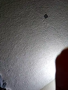 OsitoPeluditoSabrozito webcam