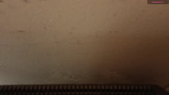 Sara_valderrama_ webcam