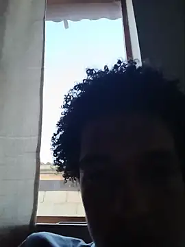 TheRiseOfDick webcam