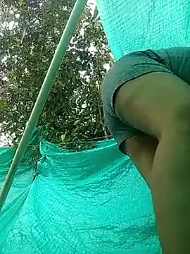 single_kitten webcam