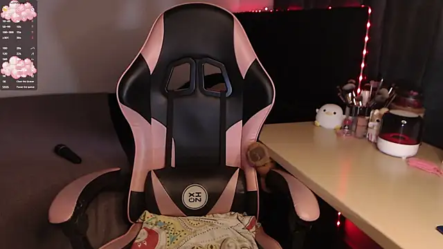 Theprojectsaraa webcam