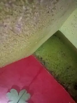 Riyakumari_hot66 webcam