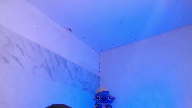 KimberlyXtreme webcam