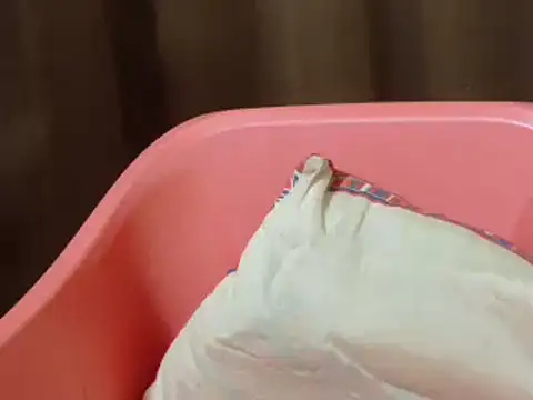 TABOOBREAKERS webcam