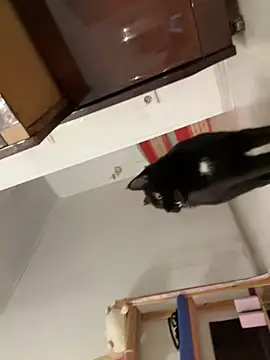 LeyaJohnson live sex cam