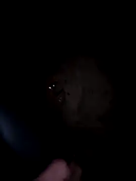 misscectito13 webcam