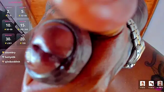 esteveen_ortegas_ webcam