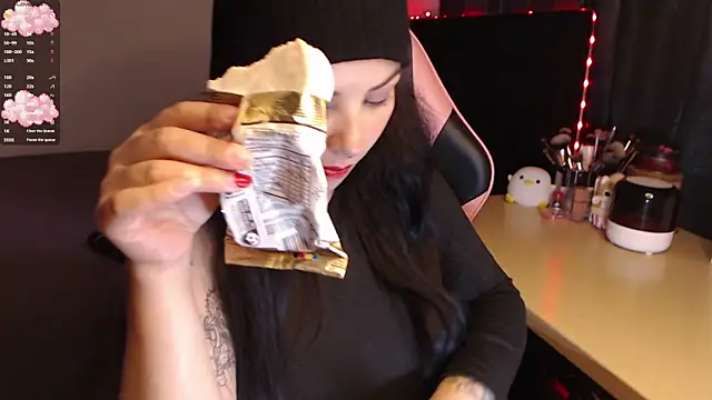 Theprojectsaraa webcam