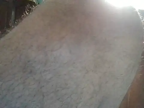 bigdick211292 webcam